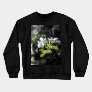 apple blossoms #6 Crewneck Sweatshirt